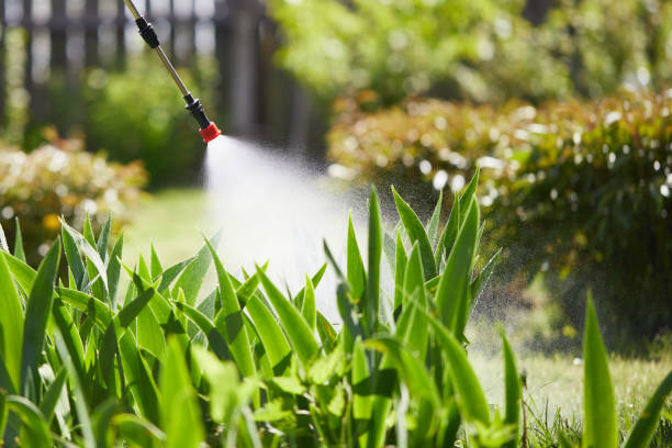 24/7 Emergency Mosquito Control experts in Ozark, MO